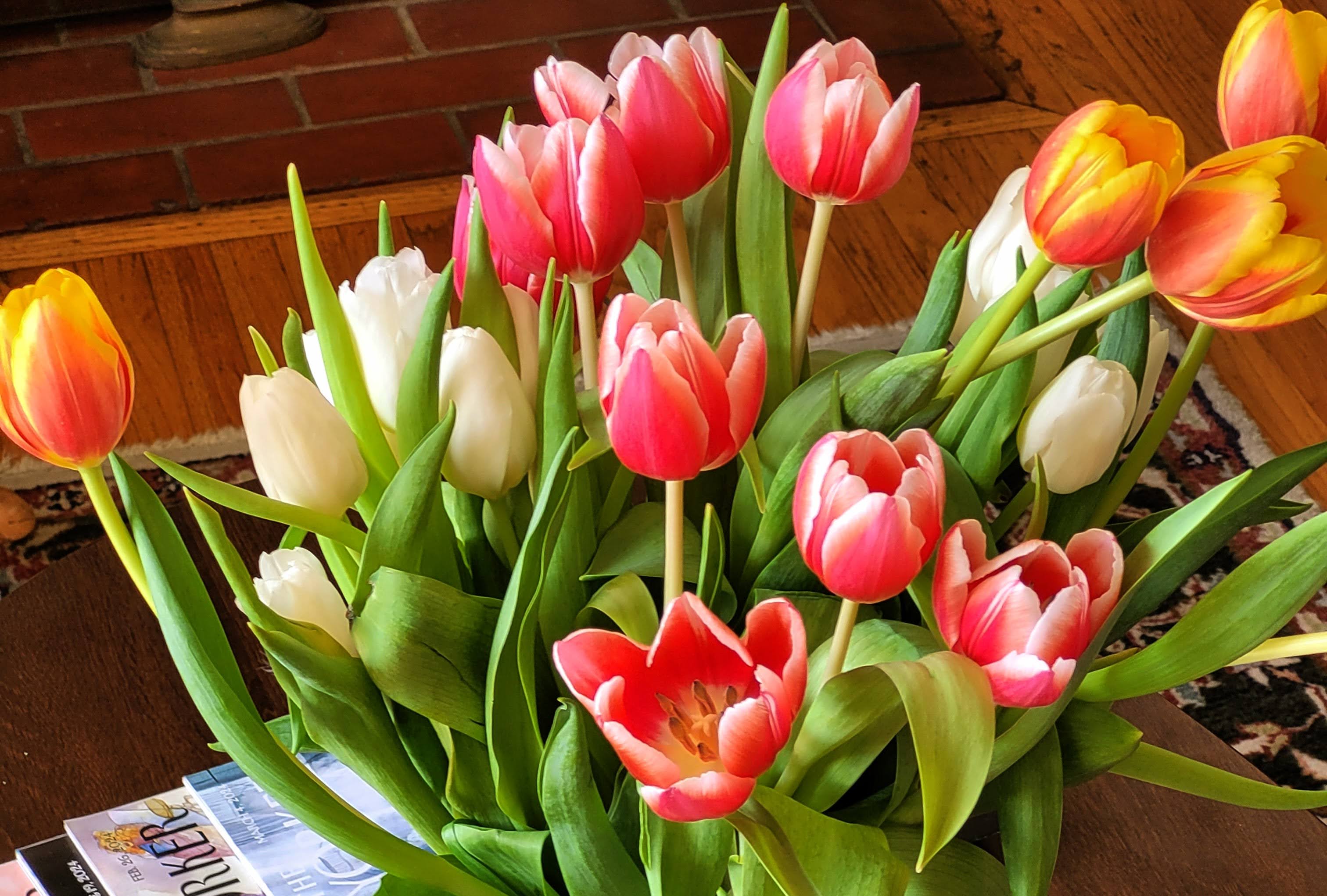 Enigmatic Taxa – So Cal Craft Beer Blog