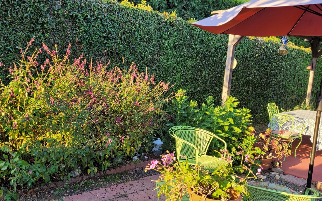 The Hacienda, Summer 2024